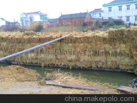 【優(yōu)質(zhì)打包稻草(圖)】價格,廠家,圖片,林業(yè)產(chǎn)品,南昌縣方圓通秸稈加工廠-