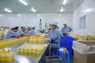 農村小型加工廠項目有哪些